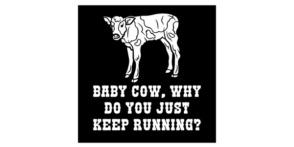 Baby cow, why do you just keep running? Sticker