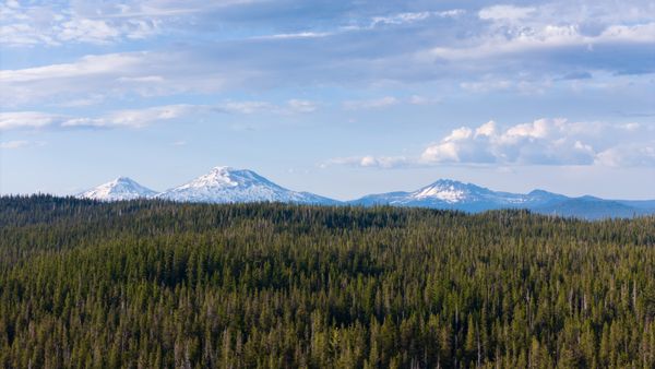 Dispersed Camping in Oregon's Cascade Mountains